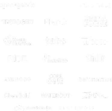 Brand logo we worked with